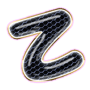 305