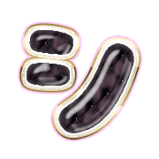 092