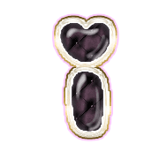 196