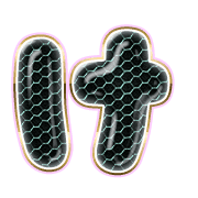 009