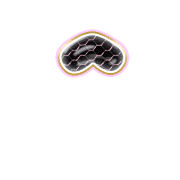 231