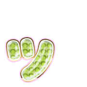 132
