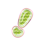 225