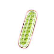 247