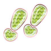 268