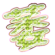 303