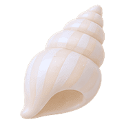 017