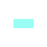 251