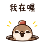031
