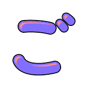 060