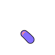 256