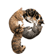 042