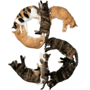068