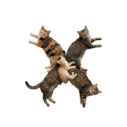 077