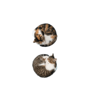 083
