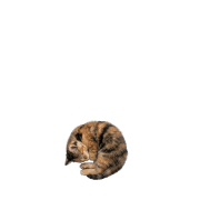 085
