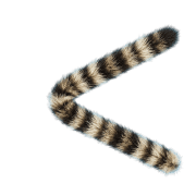 087
