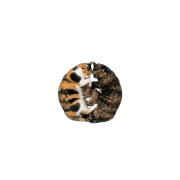 092