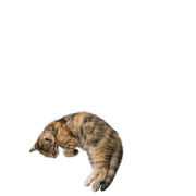 095