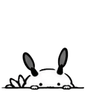 029