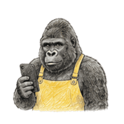 029
