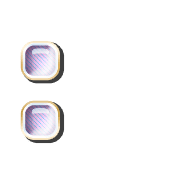 244