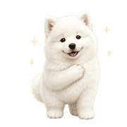 005