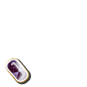 256