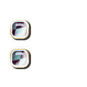 244