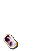 256