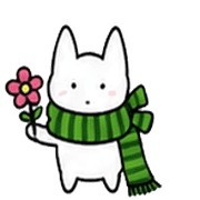 006
