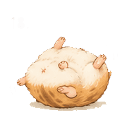 031