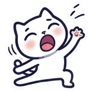 008