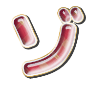 145