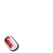 256