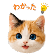 005