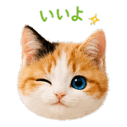 013