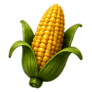016