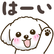 005