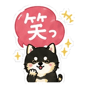 004