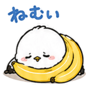 006