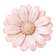 029
