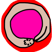 036