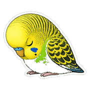 022