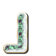 255