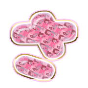 011