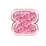 213