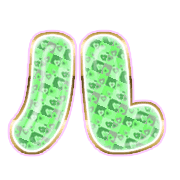 121