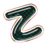 305