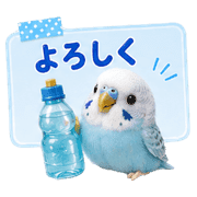 005